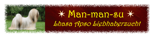 Man-man-su Lhasa Apso Liebhaberzucht